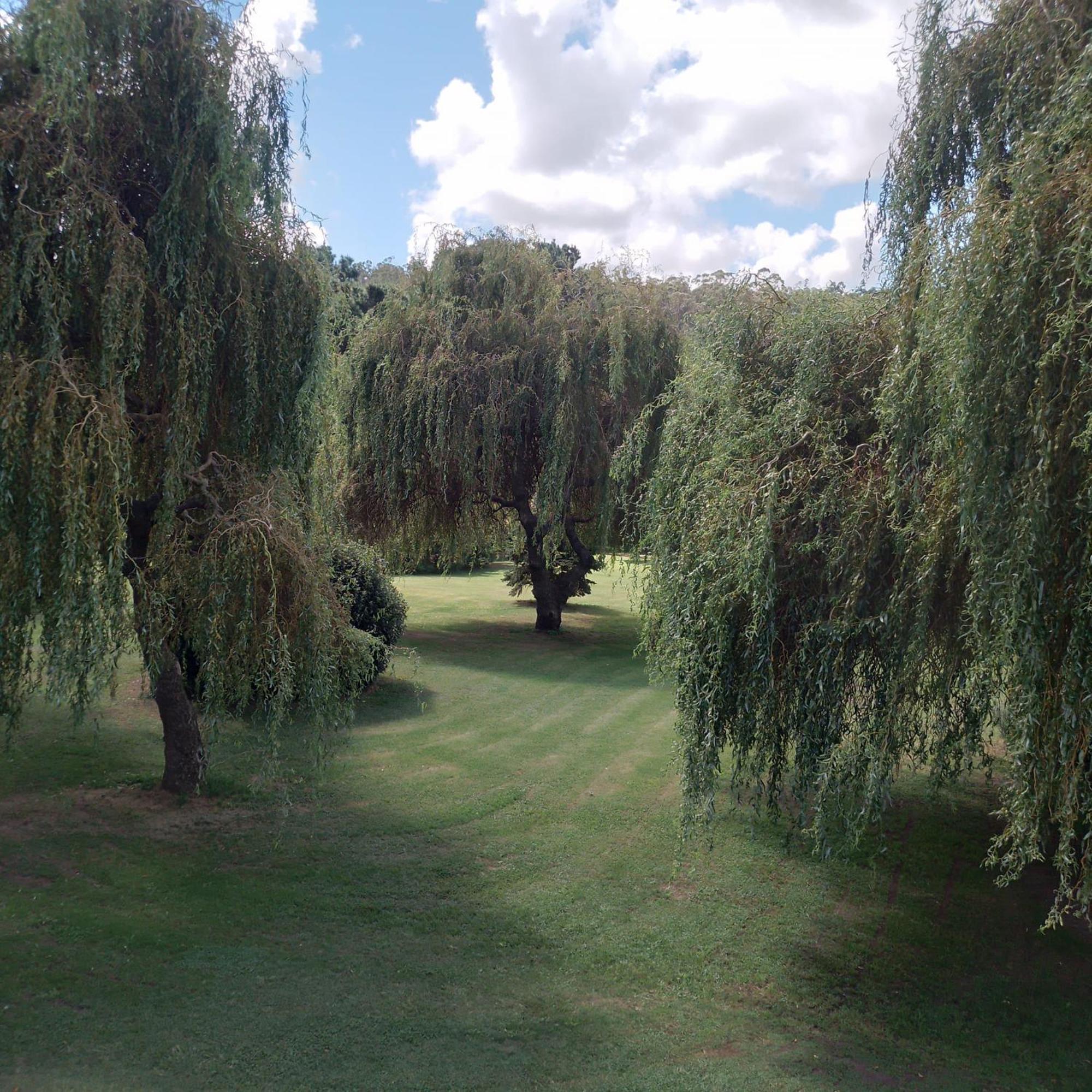 Village Park Тандил Екстериор снимка